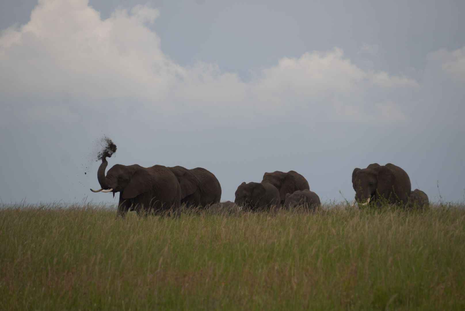 3 Days Tarangire,Lake Manyara and Ngorongoro Crater