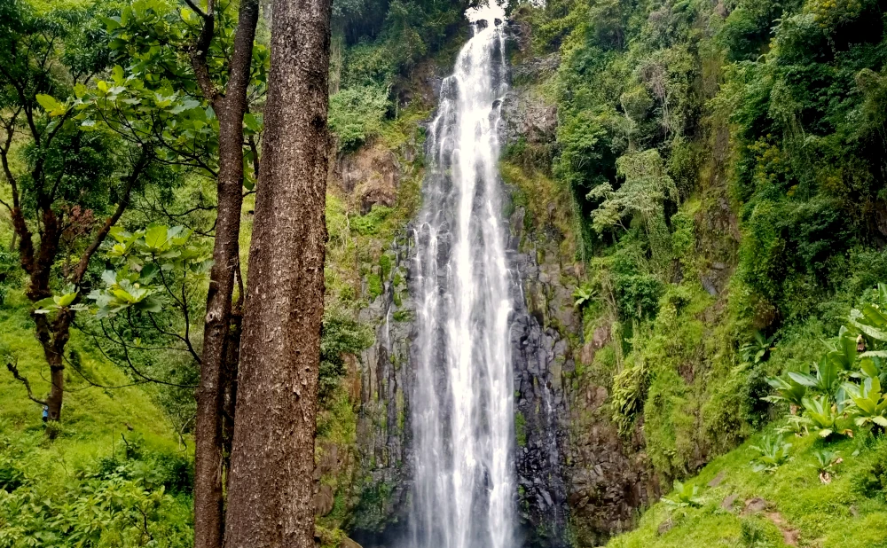 1 Day - Materuni Waterfalls Trip
