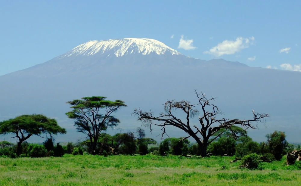 7 Days Lemosho Kilimanjaro Trekking